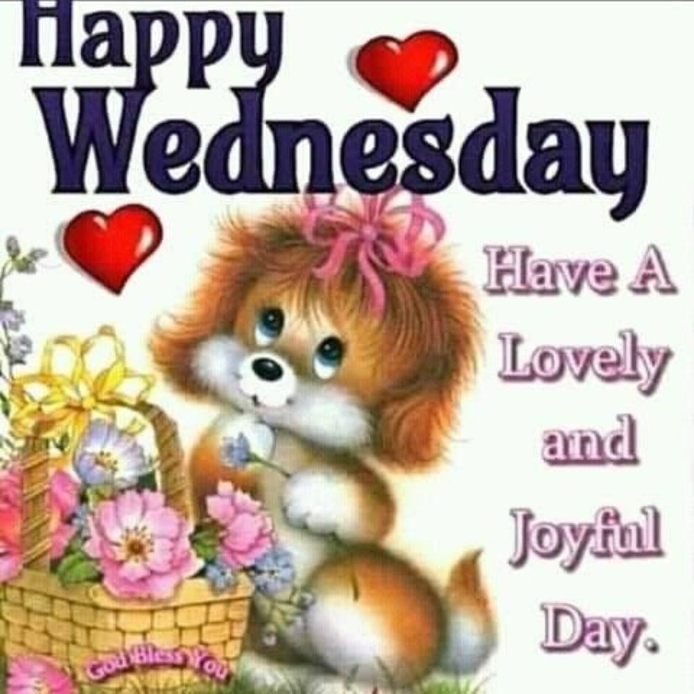 HAPPY WEDNEDAY - Picture 1 of 8